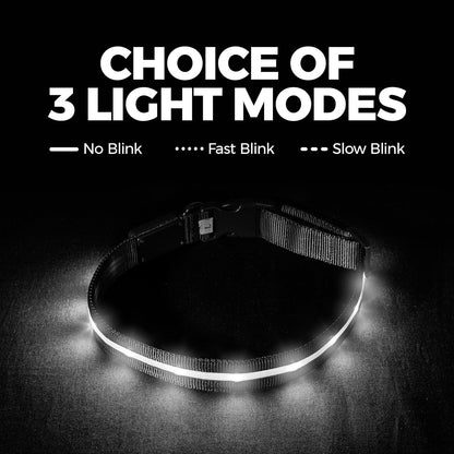 LED Dog Collar - Original USB Rechargeable and Waterproof Design - 1,000 Feet Visibility - Suitable for Small, Medium, and Large Dogs - USA Brand