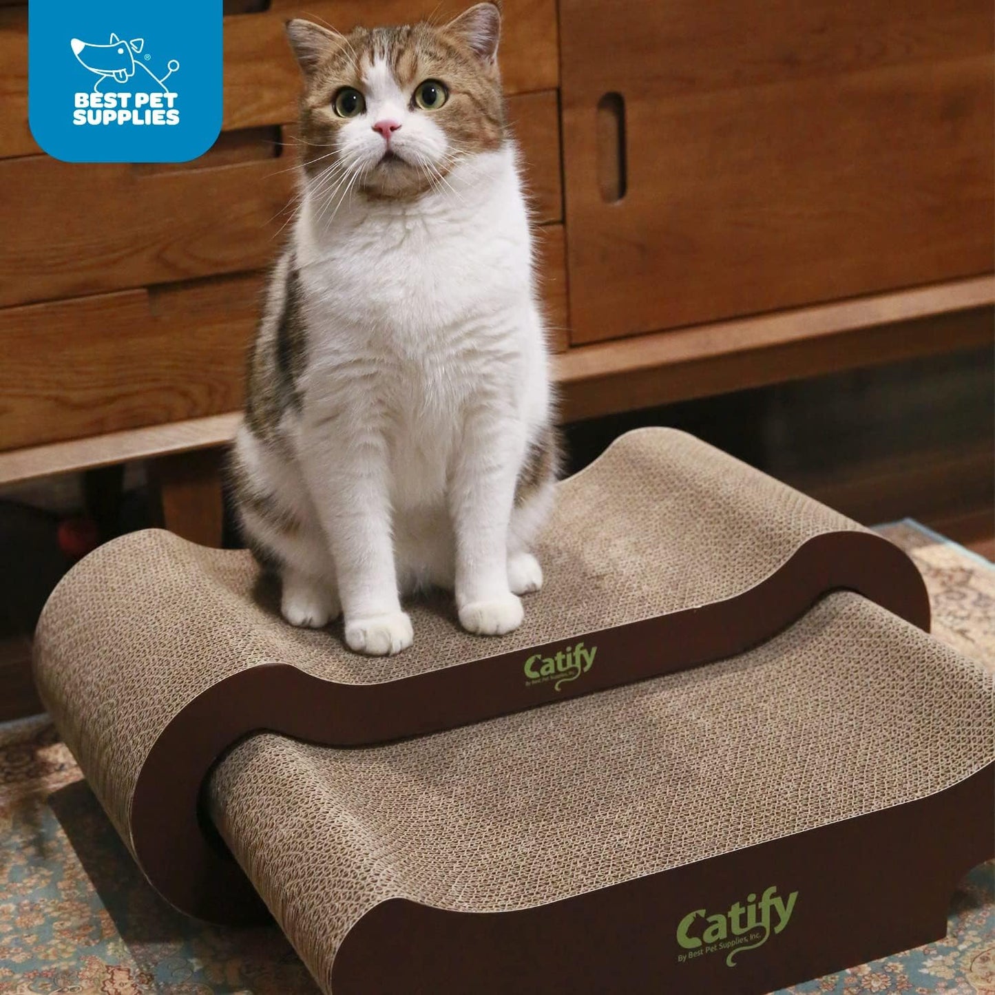 Catify Heavy-Duty Interactive Cat Scratcher and Lounger - Safe for Claws and Furniture, Supports Natural Behaviors